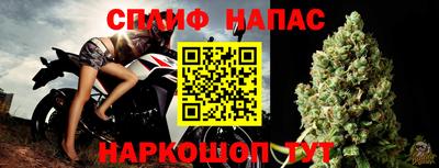 дурь Камышлов