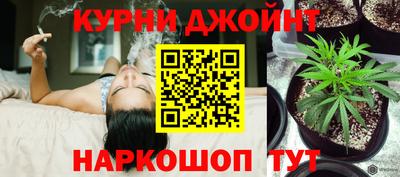 дурь Камышлов