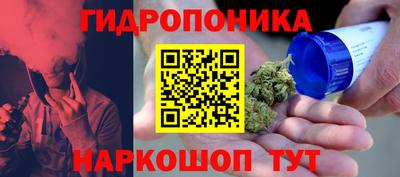 прущая мука Кимры