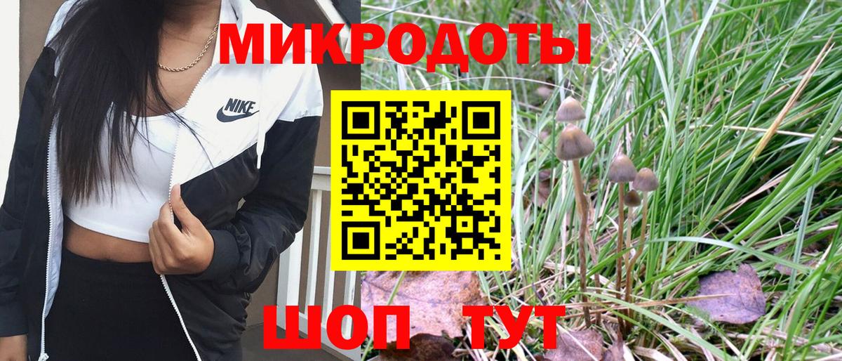 Галлюциногенные грибы Psilocybine cubensis  Вход с VPN  Южноуральск  Псилоцибиновые грибы прущие грибы 